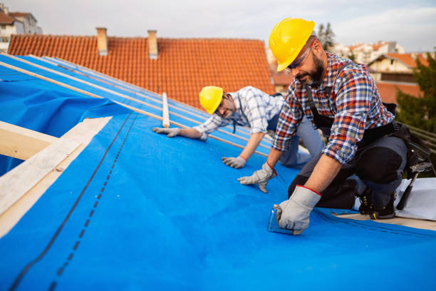 Best Roof Gutter Cleaning  in Madisonville, LA