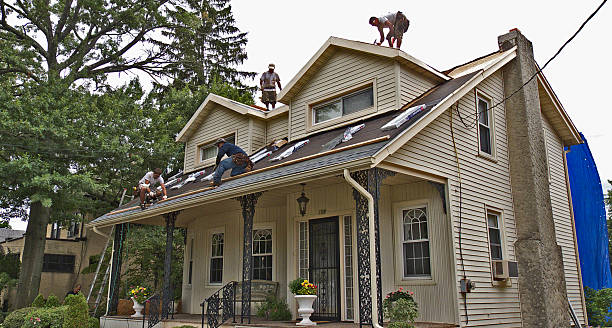 Best Gutter Installation and Roofing  in Madisonville, LA